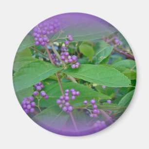 American Beautyberry (Callicarpa americana) Magnet