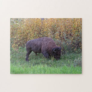 American Bison Design Jigsaw Puzzle