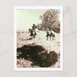 American Bison Hunters (b/w Foto) Postkarte