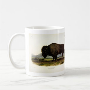 American Bison, oder Buffalo (Bison bison) - Audub Kaffeetasse