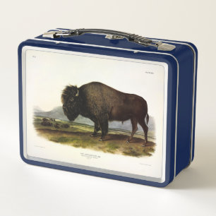 American Bison, oder Buffalo (Bison bison) - Audub Metall Brotdose