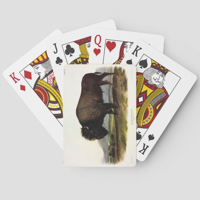 American Bison, oder Buffalo (Bison bison) - Audub Spielkarten (Rückseite)