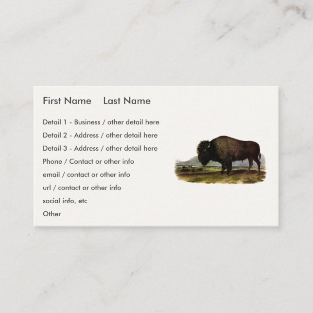 American Bison, oder Buffalo (Bison bison) - Audub Visitenkarte (Vorderseite)