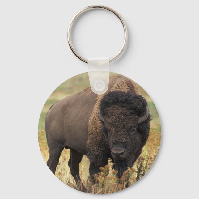 American Bison Schlüsselanhänger (Vorderseite)