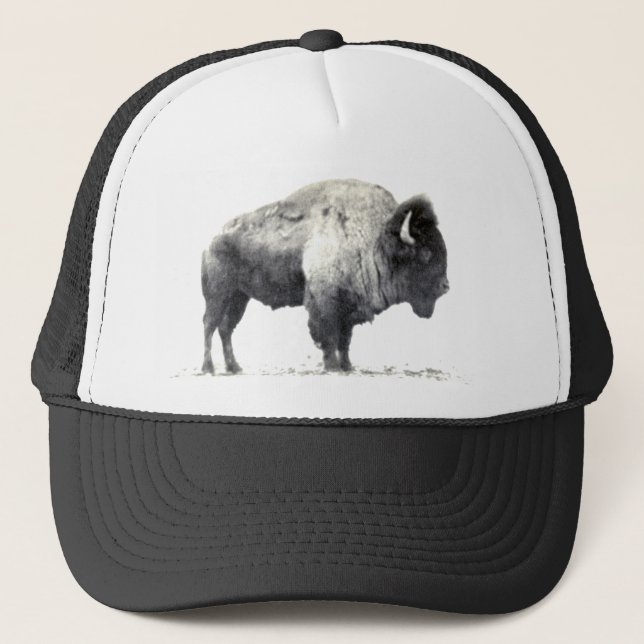 American Bison Truckerkappe (Vorderseite)