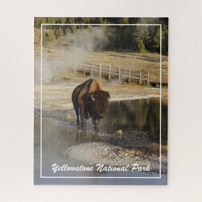 American Bison Yellowstone Wildlife Fotografy (Vertikal)