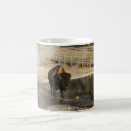 American Bison Yellowstone Wildlife Fotografy Kaffeetasse