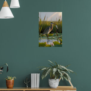 American bittern holding fish in beak marsh poster