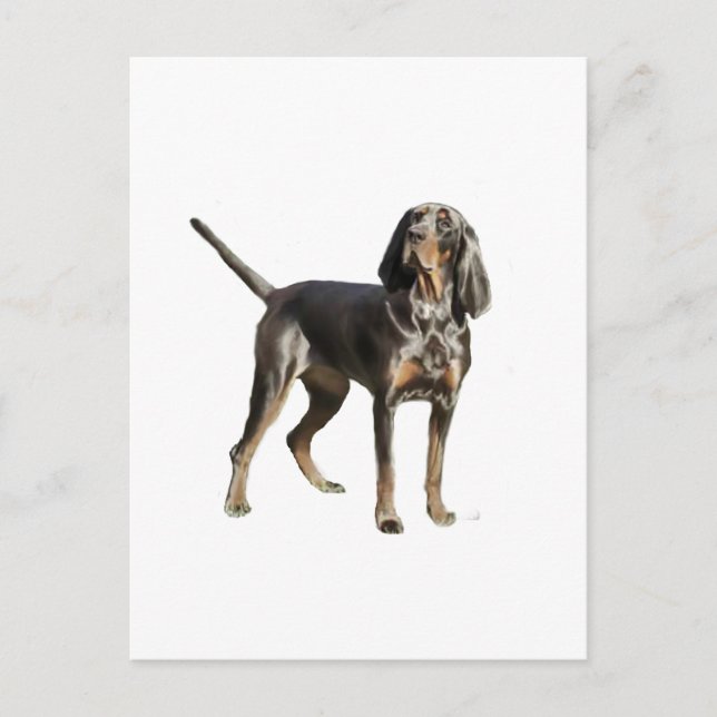 American Black and Tan Coon Hound Postkarte (Vorderseite)