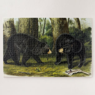 American Black Bar (Ursus Americanus) von Audubon