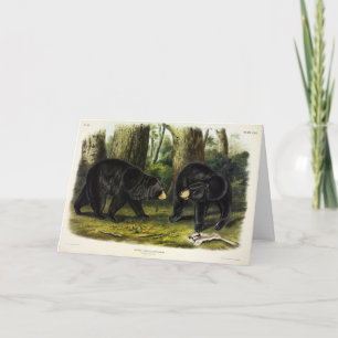American Black Bar (Ursus Americanus) von Audubon Karte