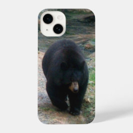 American Black Bear iPhone Case iPhone 14 Hülle