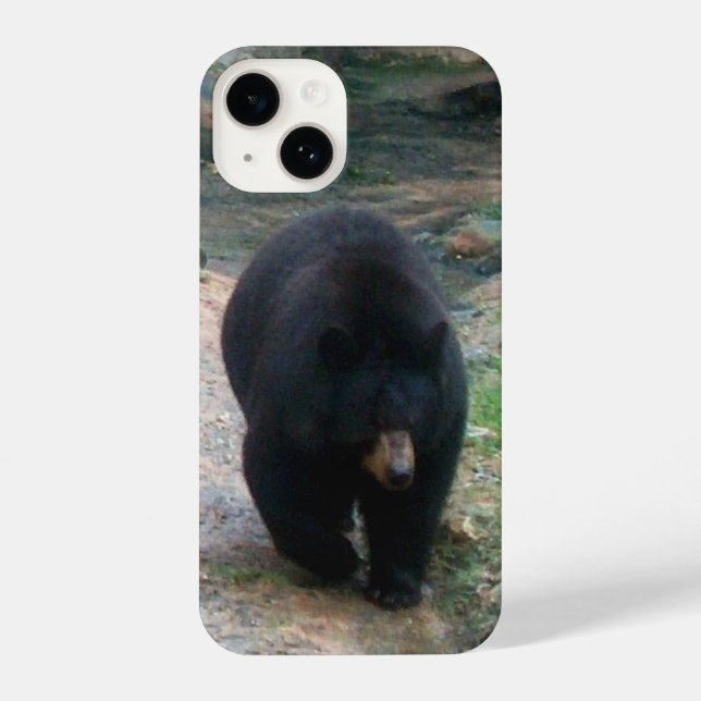 American Black Bear iPhone Case iPhone 14 Hülle (Rückseite)