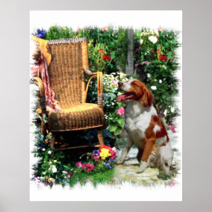 American Brittany Spanish Art Print Poster