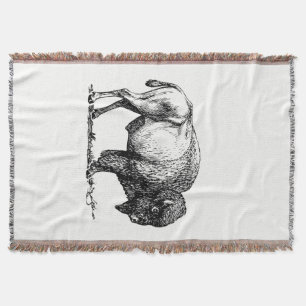 American Buffalo Bison Decke