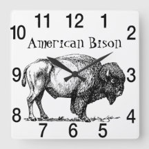 American Buffalo Bison