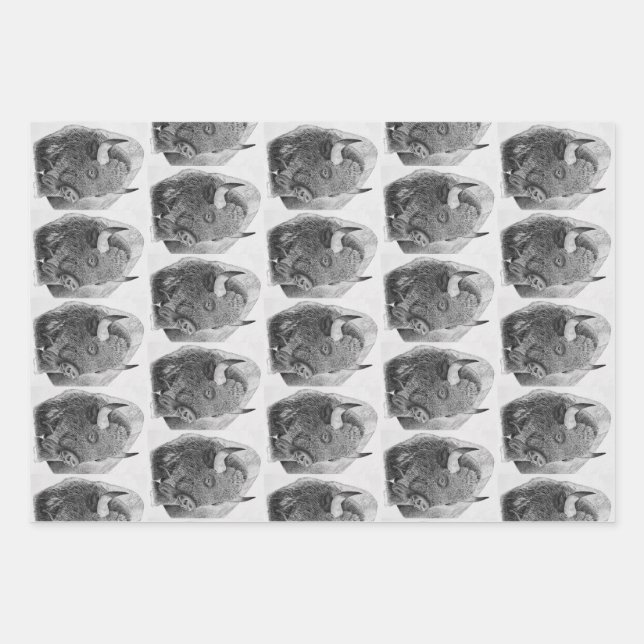 American Buffalo Geschenkpapier Set (Vorderseite)