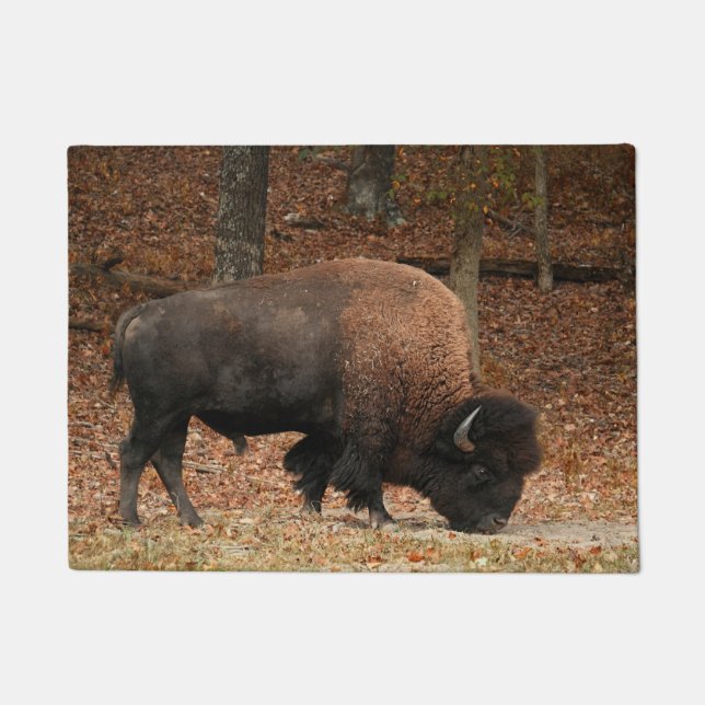 American Bull Bison Beauty Beast Fußmatte (Vorderseite)