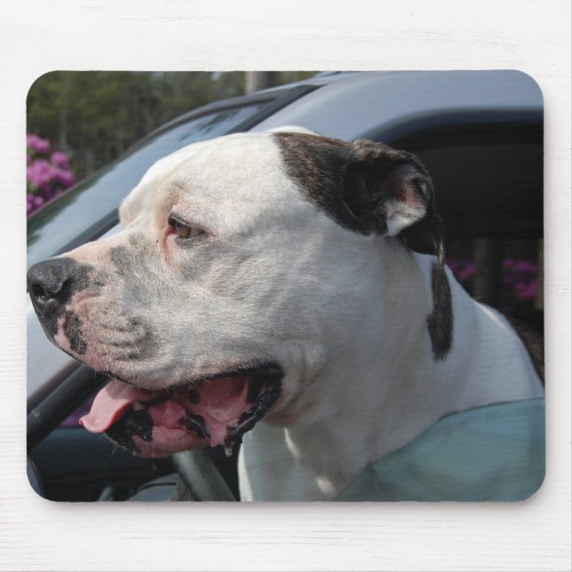 American Bull Dog Mousepad (Vorne)