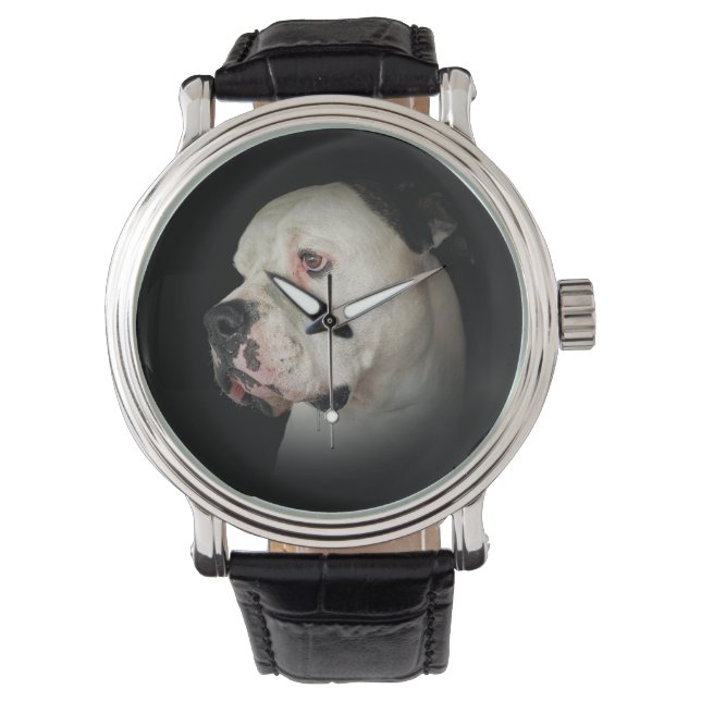 American Bull Dog Portrait Armbanduhr (Vorderseite)