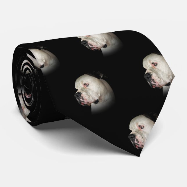American Bull Dog Portrait auf schwarz Krawatte (Gerollt)
