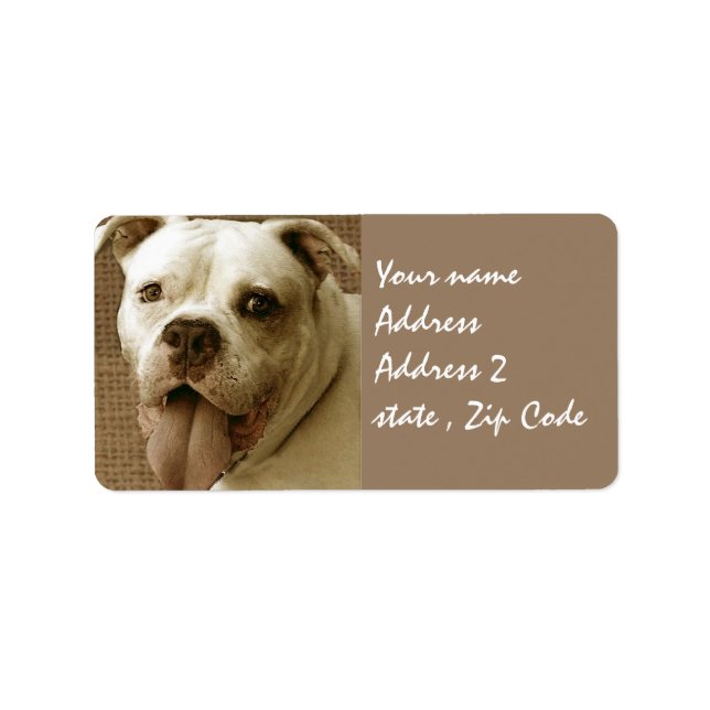 American Bulldog Adressaufkleber (Vorne)