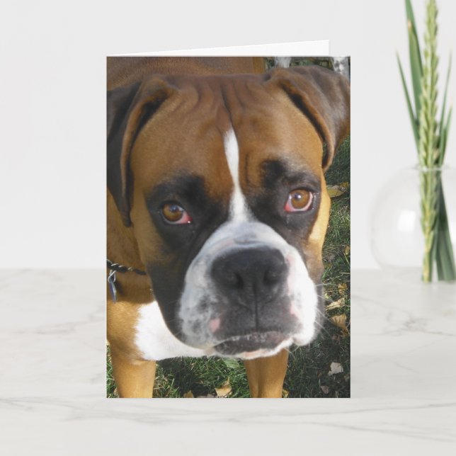 American Bulldog Birthday Card Karte (Vorderseite)