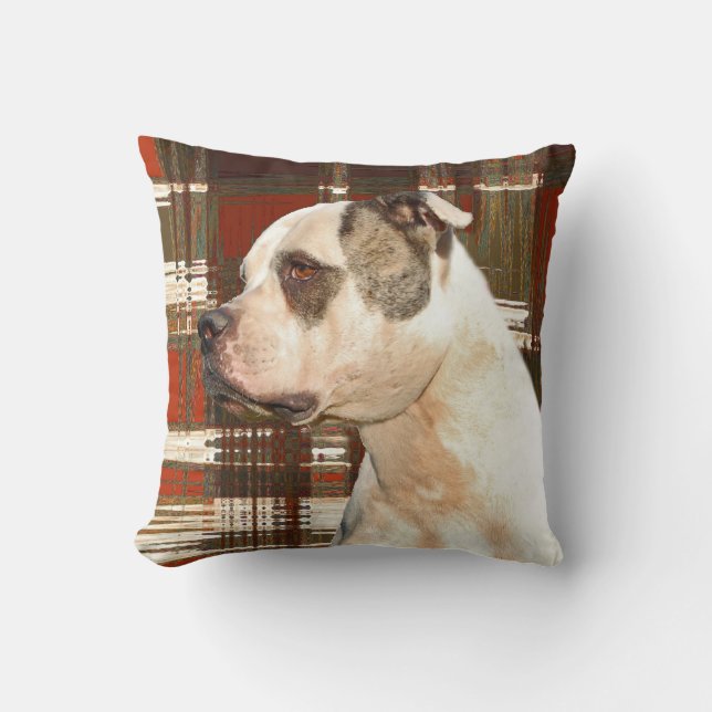 American Bulldog Kariert Pillow Kissen (Vorderseite)