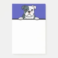 American Bulldog Niedlicher Welpenhund Lover Gesch