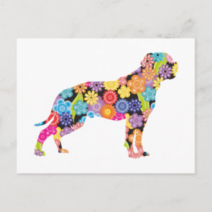 American Bulldog Postkarte