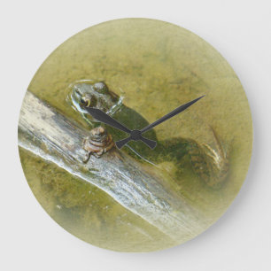 American Bullfrog - Rana catesbeiana Große Wanduhr