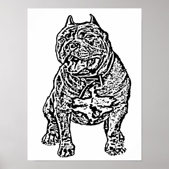 American Bully Dog Poster (Vorne)