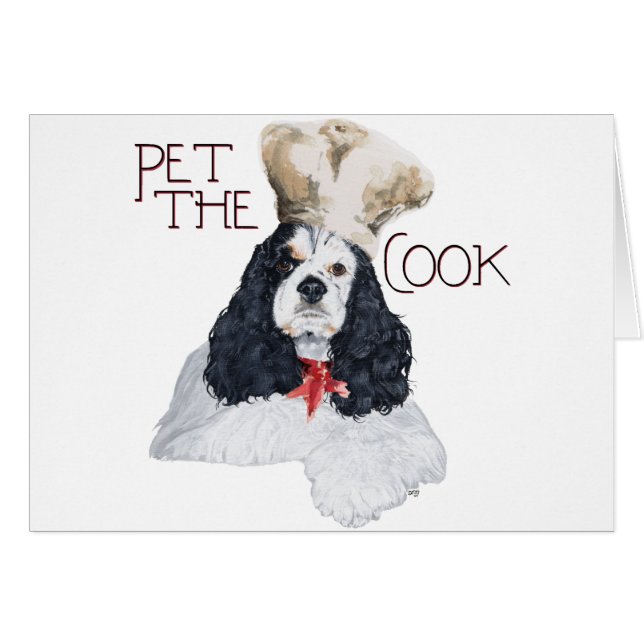 American Cocker Spaniel Chef (Devant horizontal)