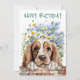 American Cocker Spaniel Peeking Feiertagskarte