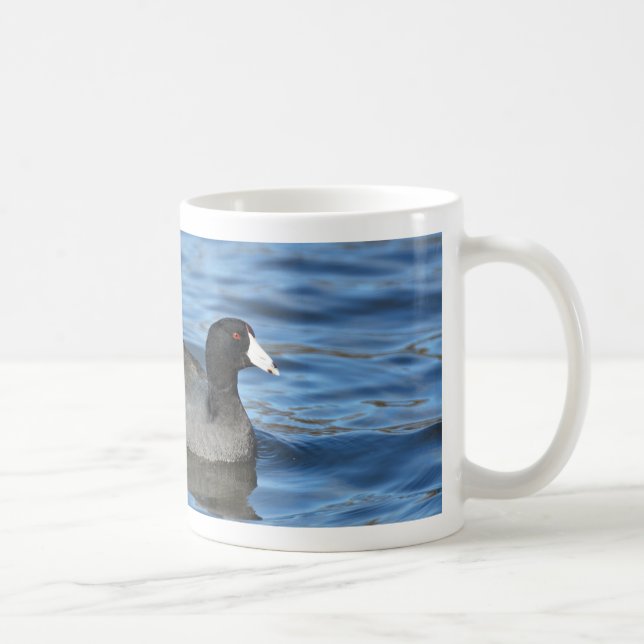 American Coot Kaffeetasse (Rechts)
