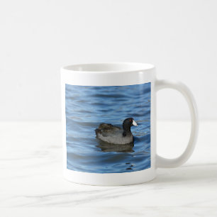 American Coot Kaffeetasse