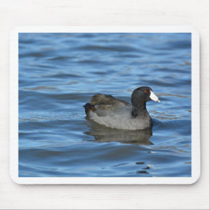 American Coot Mousepad