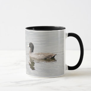 American Coot Mug