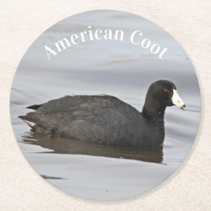 American Coot Runder Pappuntersetzer
