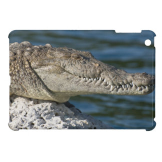American Crocodile iPad Mini Hülle