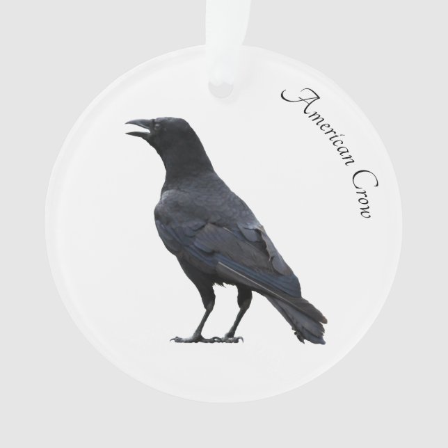 American Crow Ornament (Vorderseite)