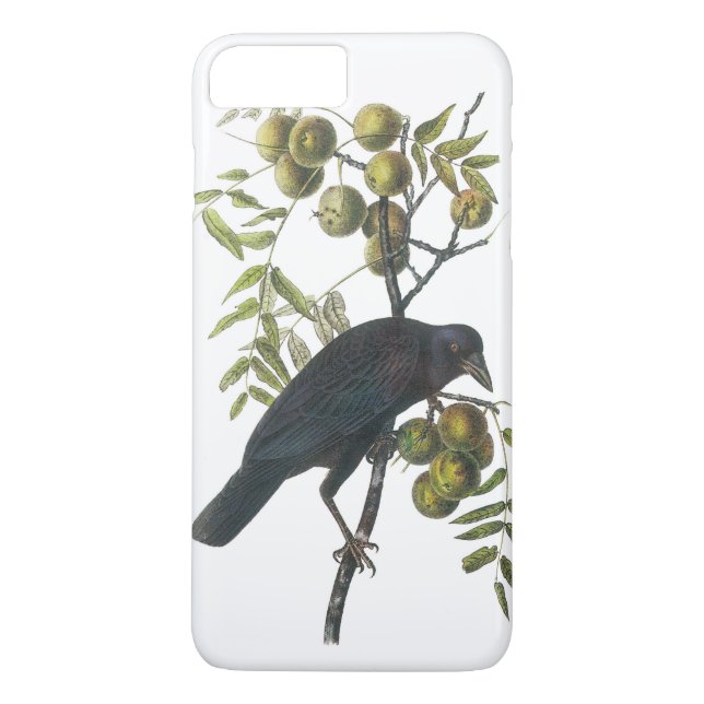 American Crow von Audubon Case-Mate iPhone Hülle (Rückseite)