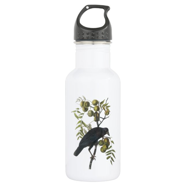 American Crow von Audubon Trinkflasche (Vorderseite)