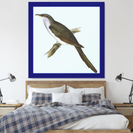 American Cuckoo Bird Canvas Print Leinwanddruck