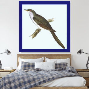 American Cuckoo Bird Canvas Print Leinwanddruck