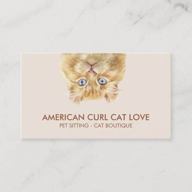 American Curl Cat Visitenkarte (Vorderseite)