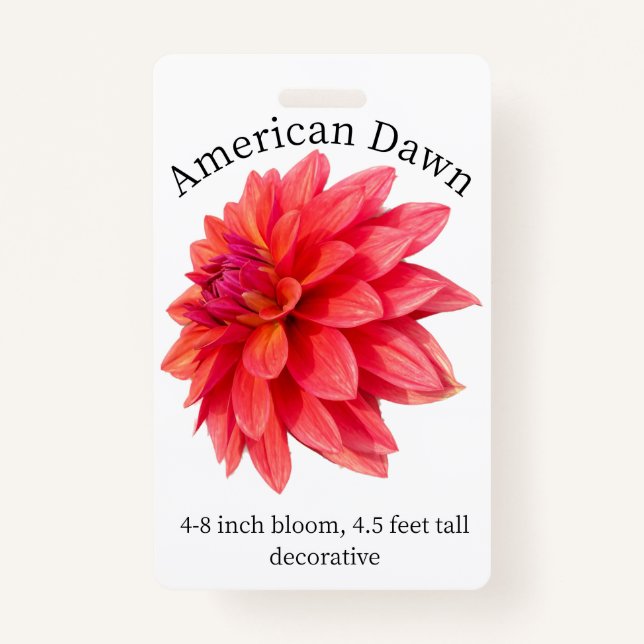 American Dawn Dahlia ID Abzeichen Ausweis (Vorderseite)