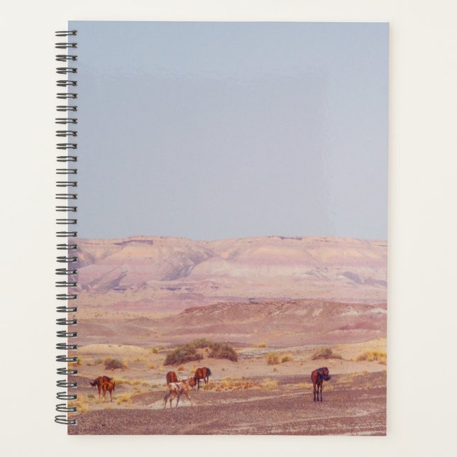 American Desert Horses P8670 (Devant)