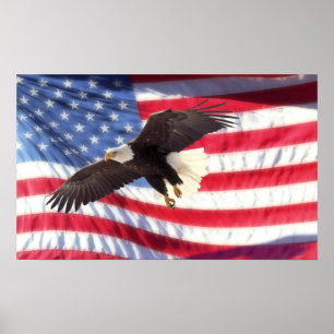 American Eagle and Flag Poster