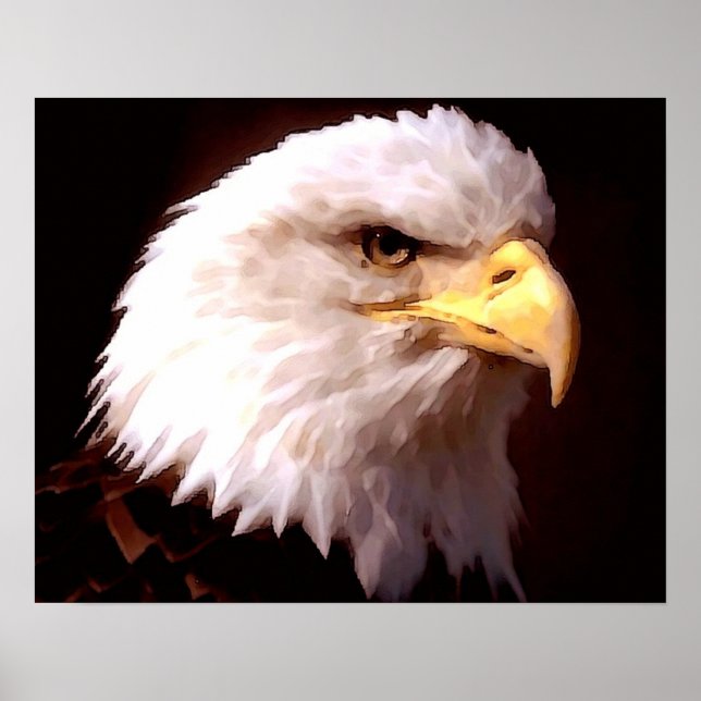 American Eagle Bald Eagle Poster Print (Vorne)